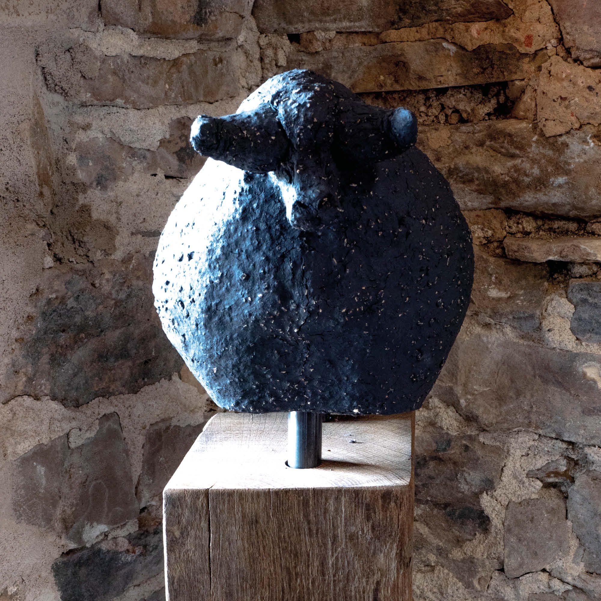 Hauswächter Stier