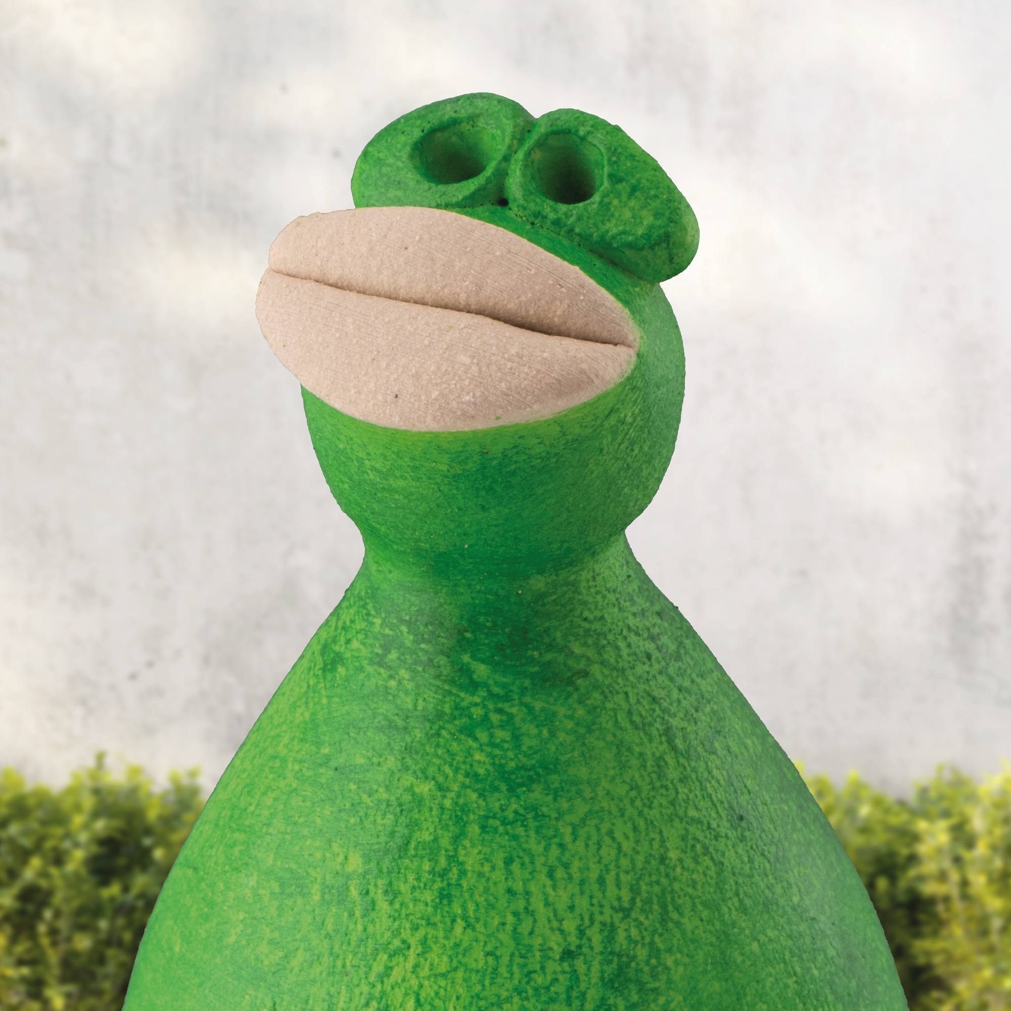 Frosch „Freddy Frog”