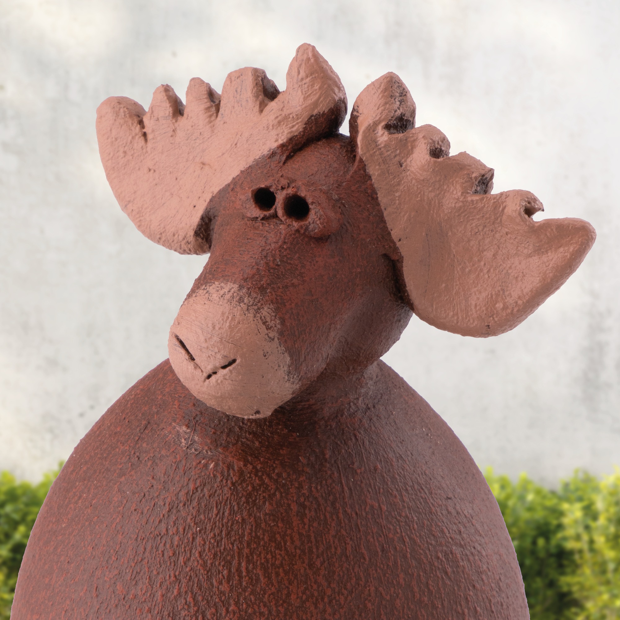 Elch „Knut”