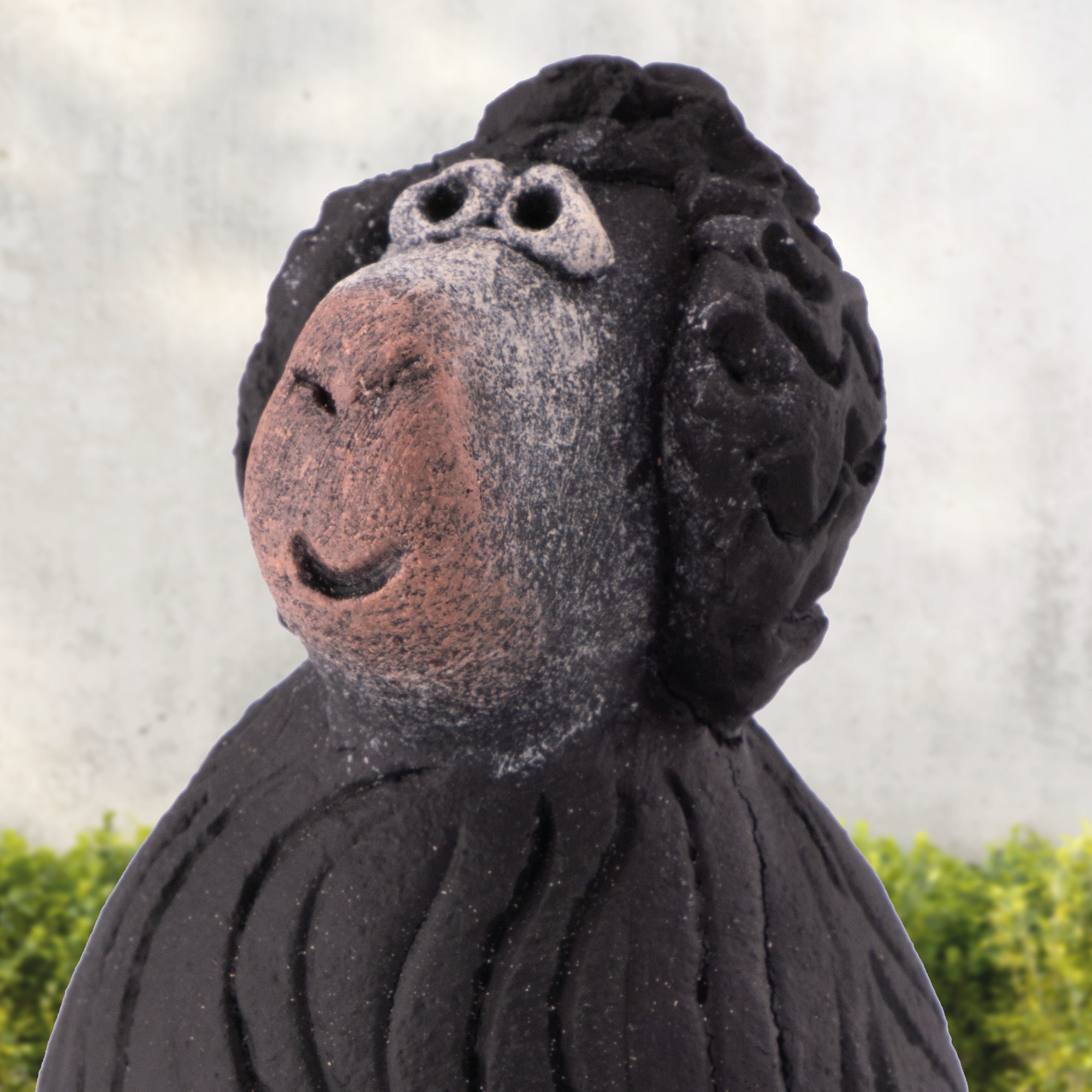 Schwarzes Schaf „Blackbö”